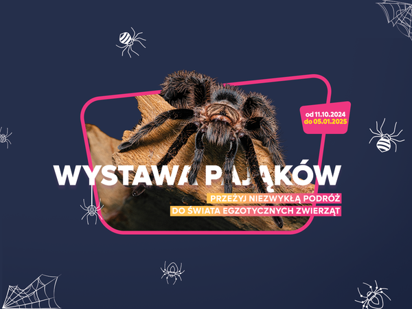 SW_wystawa-pajaków_miniatura_1200x900.png